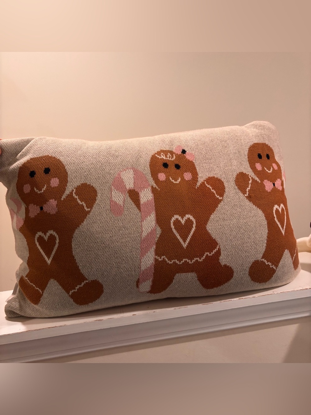 cupcakes & cashmere Gingerbread Knit Accent Pillow - Beige, Brown, Pink